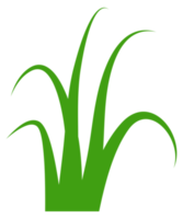 illustratie van groen gras png