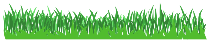 illustration of green grass png