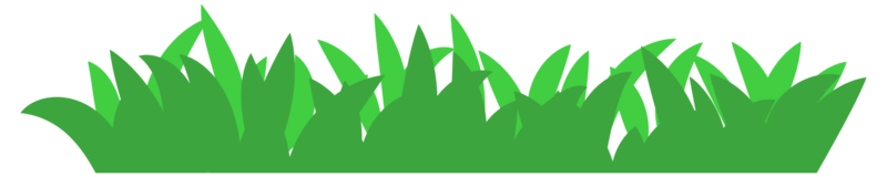 ilustración de hierba verde png