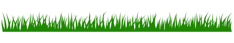 illustration de l'herbe verte png