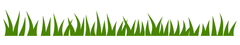 illustrazione di verde erba png