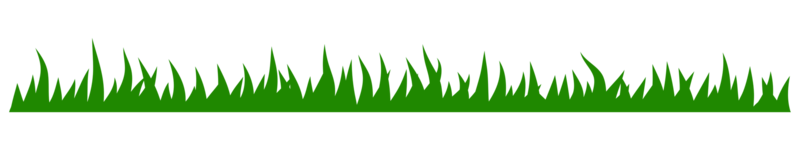 illustration de l'herbe verte png