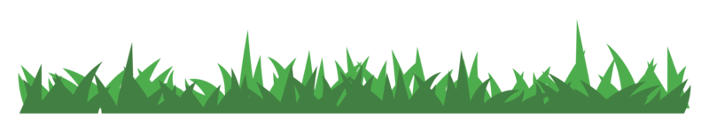 illustration de l'herbe verte png