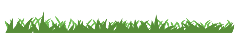 illustrazione di verde erba png