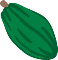cacao fruit doodle drawing png