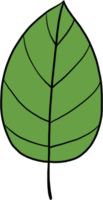 simplicity kratom leaf freehand drawing png