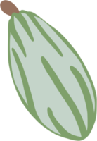 dessin de doodle de fruits de cacao png