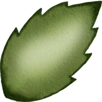 water colour leaf png