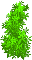 arbusto verde png