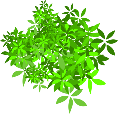 Green Plant PNGs for Free Download