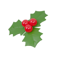 Merry Christmas, Holly. 3D rendering. PNG File