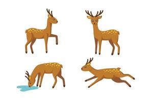 conjunto de ciervos para patrones y diseños. ilustración vectorial vector