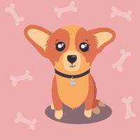 Corgi puppy in a collar on pink background vector