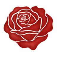 rote rosenblumenzeichnungsillustration png