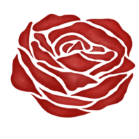 rote rosenblumenzeichnungsillustration png