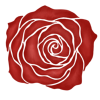 illustration de dessin de fleur rose rouge png