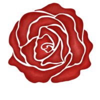 rote rosenblumenzeichnungsillustration png