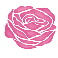 rosa reste sig blomma teckning illustration png