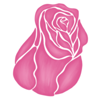 illustration de dessin de fleur rose rose png