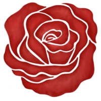 rote rosenblumenzeichnungsillustration png