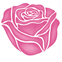 pink rose flower drawing illustration png