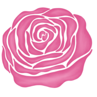 pink rose flower drawing illustration png