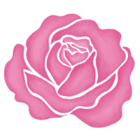 rosa reste sig blomma teckning illustration png