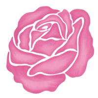 illustration de dessin de fleur rose rose png