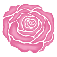 pink rose flower drawing illustration png