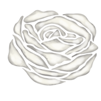 vit reste sig blomma teckning illustration png