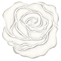 ilustración de dibujo de flor rosa blanca png