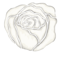 ilustración de dibujo de flor rosa blanca png