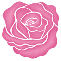 illustration de dessin de fleur rose rose png