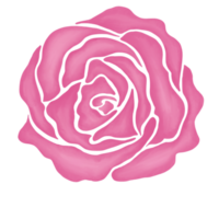 rosa reste sig blomma teckning illustration png