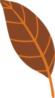 illustration de feuilles de mangue mignonne pour élément de conception png