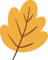 Cute hawthorn leaves Illustration for design element png