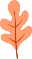 Cute oak leaves Illustration for design element png