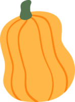Cute pumpkin Illustration for design element png