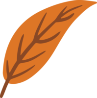 Cute bird cherry leaves Illustration for design element png