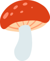 Cute mushroom Illustration for design element png