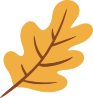 ilustração de folhas de carvalho bonito para elemento de design png