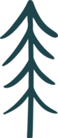 linda ilustración de árbol de abeto de douglas para elemento de diseño png