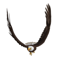 aigle volant animal rendu 3d png