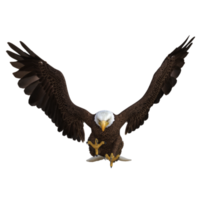 Águila voladora animal renderizado 3d png