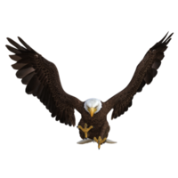 aigle volant animal rendu 3d png