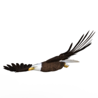 renderização 3d de animal voador de águia png
