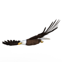 aigle volant animal rendu 3d png