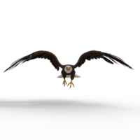 Eagle Flying animal 3d rendering png