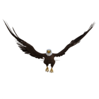 Eagle Flying animal 3d rendering png