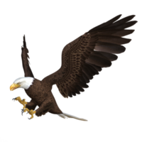 Eagle Flying animal 3d rendering png